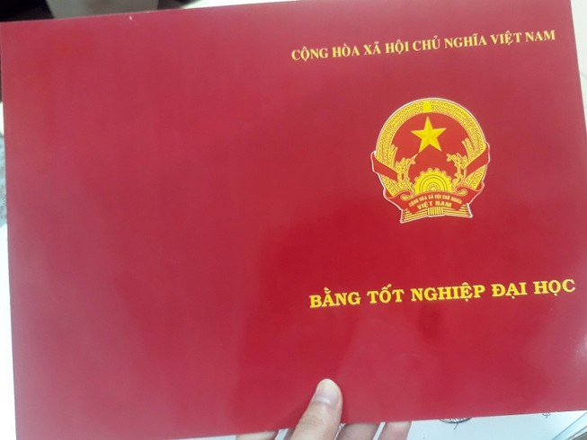 Đồng Nai: Nữ 'bác sĩ dỏm' dùng hai bằng giả để hành nghề