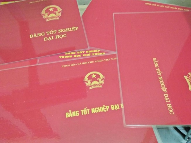 Đồng Nai: 1 chủ tịch phường có bằng Đại học trước bằng cấp 3