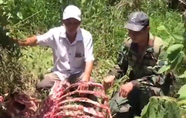Một con bò tót bị giết lấy thịt tại Vườn quốc gia Cát Tiên