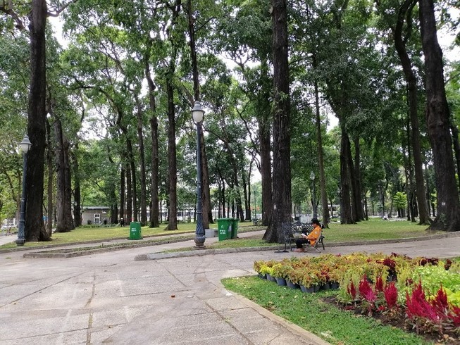 Quy hoạch cây xanh ở công viên như thế nào mới chuẩn?
