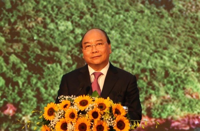 'Không được bê tông hóa Phú Quốc vì tầm nhìn ngắn hạn'