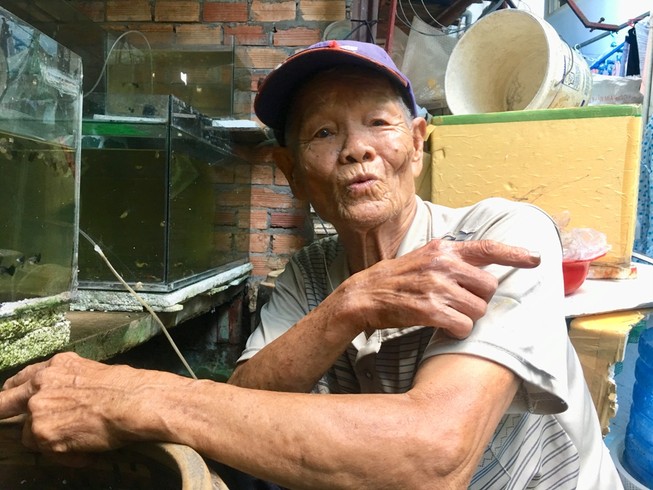 Cụ ông 70 năm đam mê cá lia thia