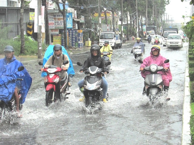 Chủ tịch Cần Thơ: Phải đảm bảo ATGT khi triều cường dâng cao