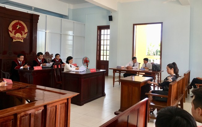 Hoãn phúc thẩm vụ ca sĩ Nhật Kim Anh giành quyền nuôi con