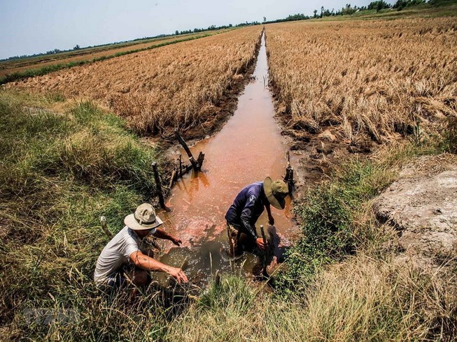 Nhiều giải pháp hỗ trợ miền Tây thiệt hại do hạn hán