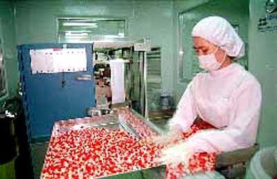 Thuốc sản xuất trong nước mới đáp ứng được 50% nhu cầu