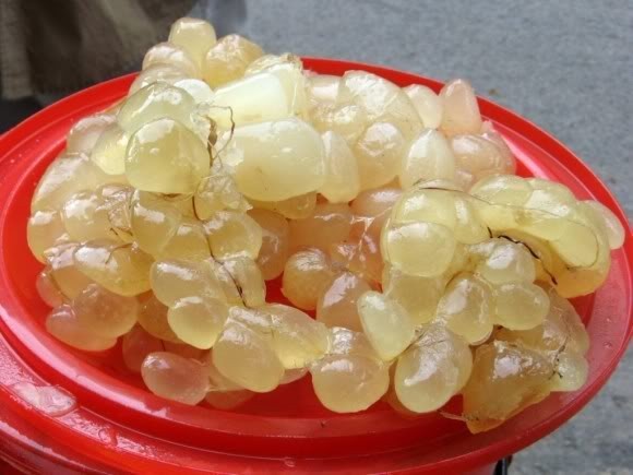 Những cách chữa bỏng nguy hiểm cần tránh