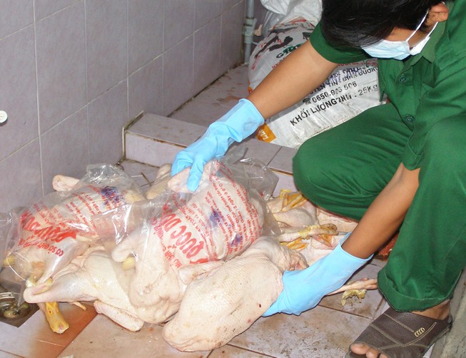 Gia cầm không rõ nguồn gốc tiếp tục vào TP.Hồ Chí Minh