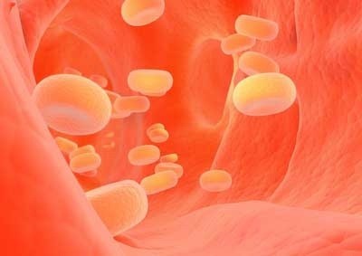 Tác hại do tăng mỡ máu và cách kiểm soát