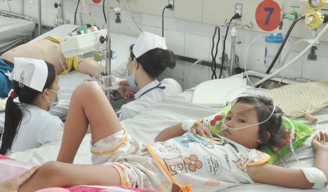 TP.HCM: Sốt xuất huyết tăng gần 100%