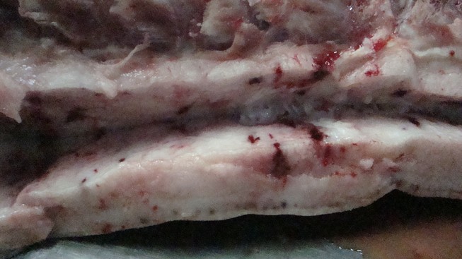 Hơn 150 kg thịt heo thối suýt lọt vào Sài Gòn
