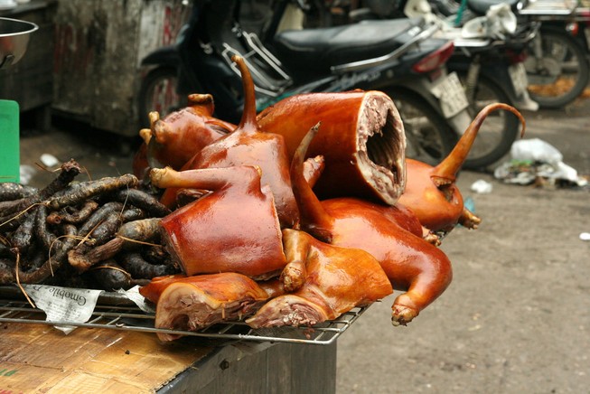 Hà Nội ra văn bản khuyến khích hạn chế ăn thịt chó, mèo