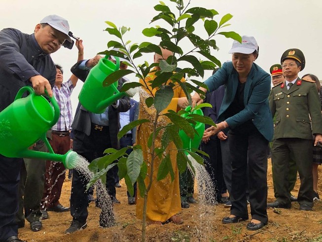 Chủ tịch Quốc hội phát động Tết trồng cây tại Hòa Bình