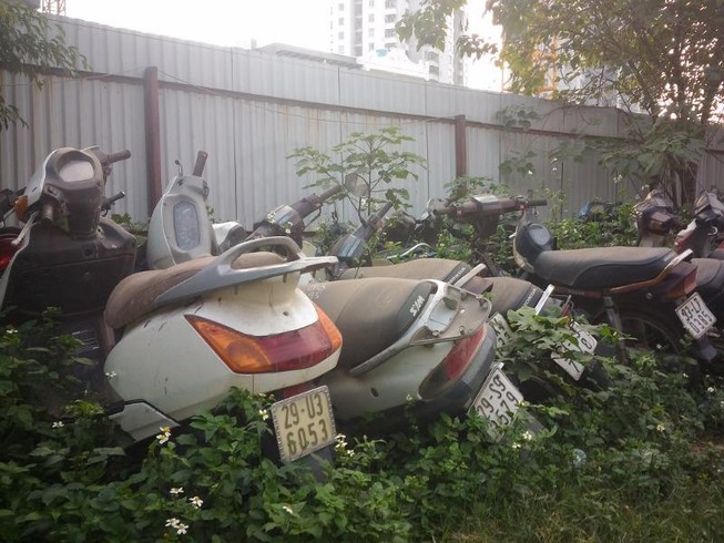 Xót xa nhìn xế hộp, xe ga phơi mình cho cỏ mọc