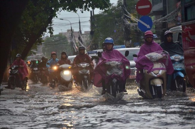Hà Nội mưa to, cây đổ, đường ngập