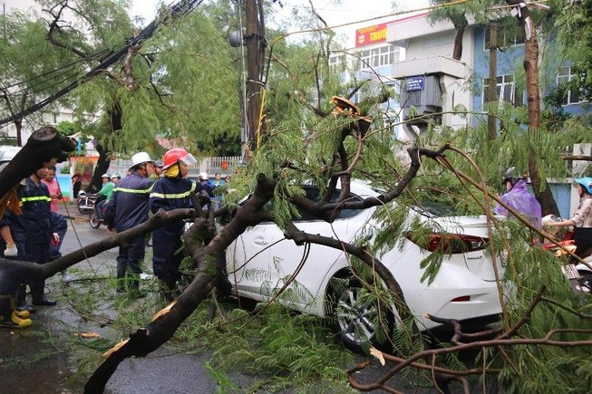 Hà Nội mưa gió khủng khiếp, 1 người bị cây đè tử vong