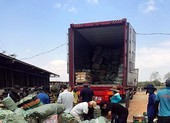 Đường dây đánh bạc 'khủng' ở Phú Thọ: Thêm 6 người bị bắt