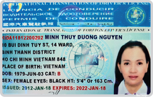 Chuyển đổi bằng lái ô tô sang bằng lái xe quốc tế