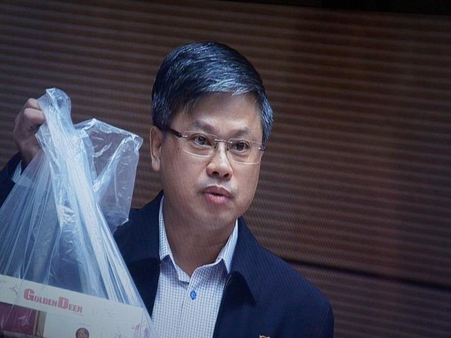 'Chính quyền chủ động phá rừng mới thật ghê gớm!'