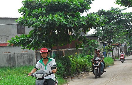 Ghi chú quy hoạch: Nơi làm, nơi không!