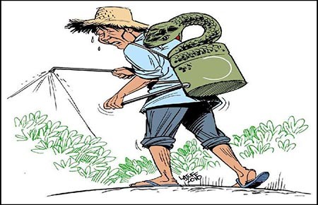 Trung Quốc: Đầu độc đất đai