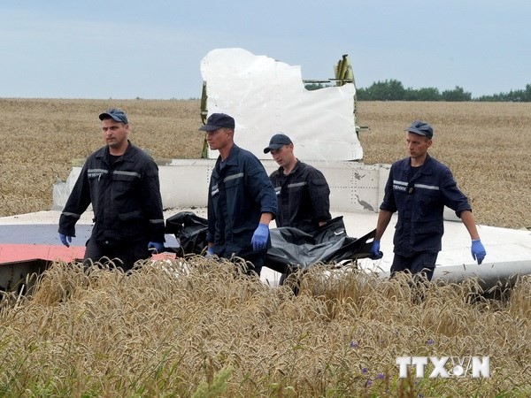 Tình báo Đức: MH17 nhiều khả năng bị quân ly khai Ukraine bắn