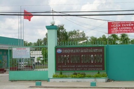 Cà Mau: Bắt giám đốc lừa đảo hàng trăm tỉ đồng