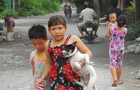 'Chết cứng' trong khu đô thị Nam TP