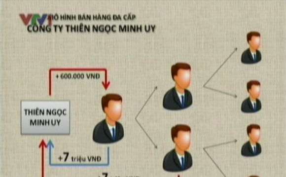 Đề nghị giám sát một công ty bán hàng đa cấp