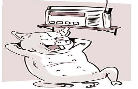 Nuôi heo bằng… âm nhạc