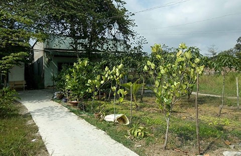 Xây nhà trên đất công để bán