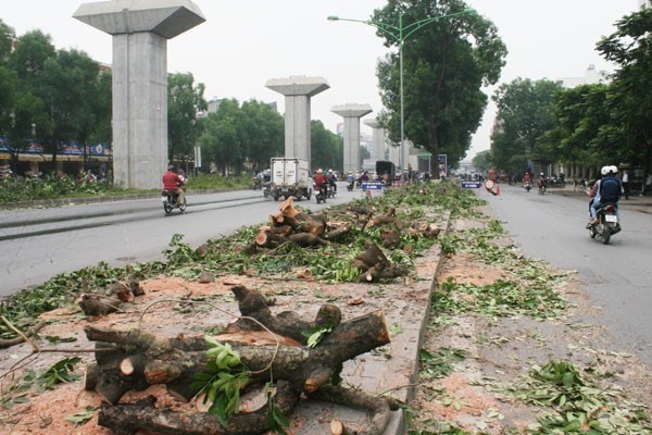 Từ chặt cây xanh Hà Nội đến lấp sông ở Đồng Nai