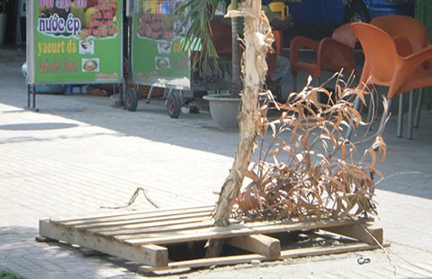 Hố ga mất nắp gây nguy hiểm