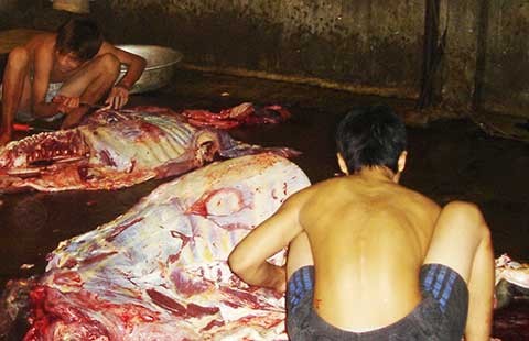 Bỏ kiểm dịch, lo ngại thịt bẩn tung hoành