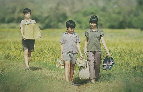 Khán giả khóc với Tôi thấy hoa vàng trên cỏ xanh