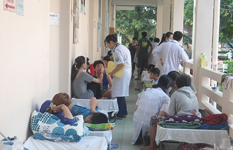 Cuối năm 2017, sẽ có vaccine sốt xuất huyết?