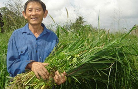Anh hùng lao động Hồ Giáo qua đời