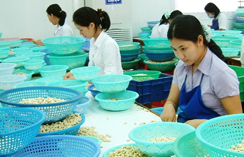 Xóa thuế nhập khẩu hàng ngàn mặt hàng