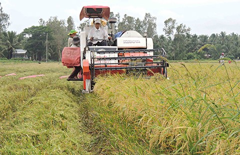Trong khó khăn, vẫn có DN làm được