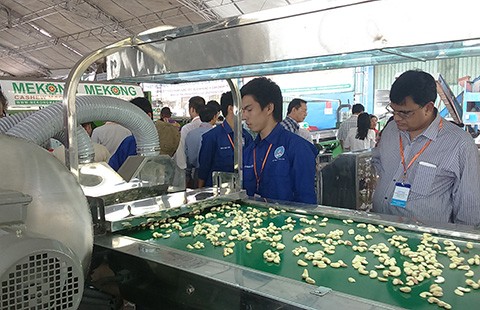 Hạt điều Việt Nam trở thành 'ông trùm' thế giới