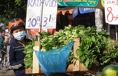 Ra đường là đụng ‘rau sinh thái’