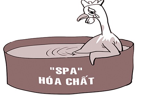 Làm vàng gà bằng thuốc nhuộm vải