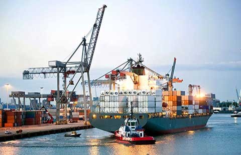 Sóng hội nhập đã ùa tới