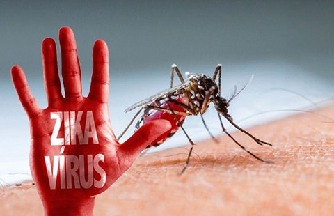 Coi chừng virus Zika đã có ở Việt Nam
