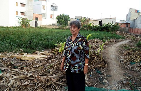 Tòa dùng ‘từ lạ’, khó thi hành án