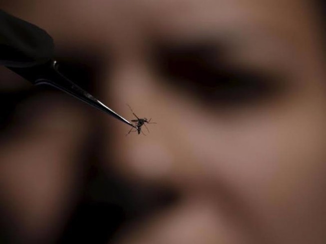 Virus Zika còn gây tổn thương thần kinh trung ương
