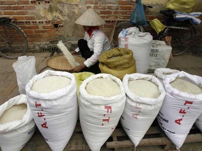 Vì sao gạo Việt bị 'đo ván' cả sân nhà lẫn sân khách?
