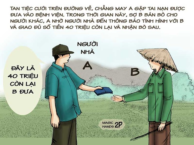 Tình huống kỳ 24: Lúng túng vì bò mẹ đẻ bò con
