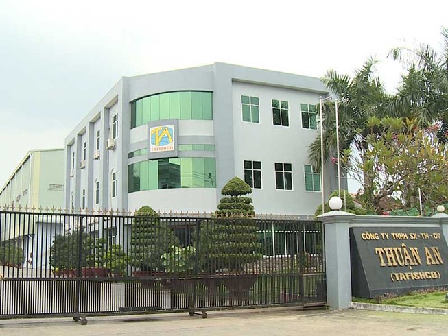 Đại gia cá tra biệt tích, nông dân tá hỏa