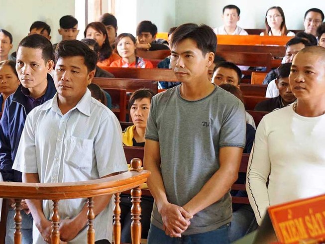 Hủy án vụ cưa gỗ khô trong rừng bị kết tội trộm cắp